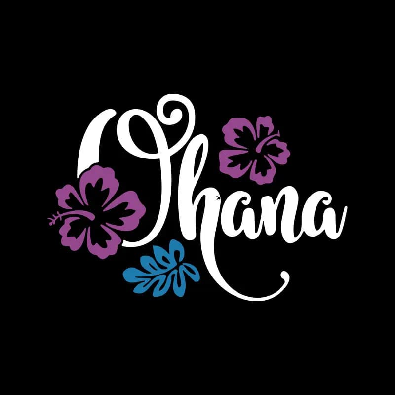 Polerón Stitch Ohana